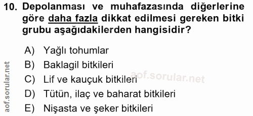 Soru 10