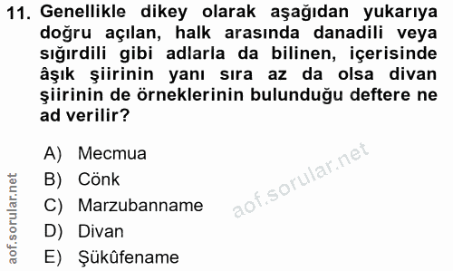 Soru 11
