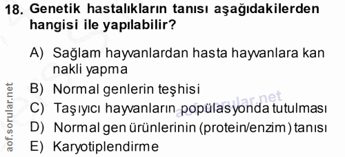 Soru 18