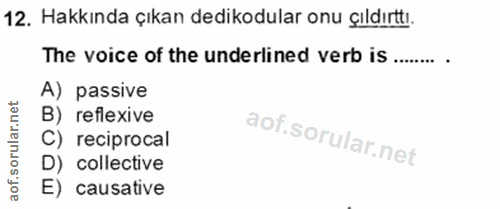 Soru 12