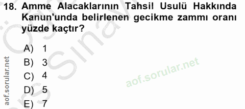 Soru 18