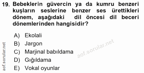 Soru 19