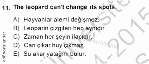 Soru 11