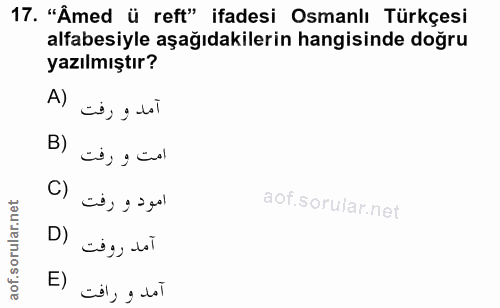 Soru 17