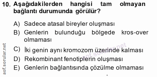Soru 10