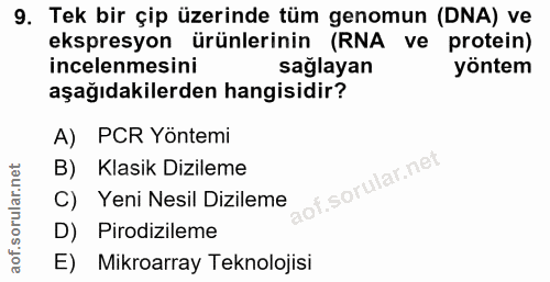Soru 9