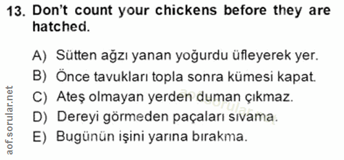 Soru 13