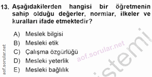 Soru 13