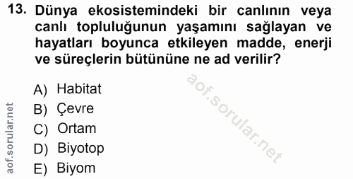 Soru 13