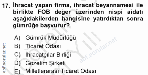 Soru 17