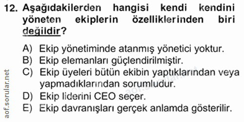 Soru 12