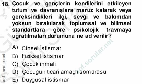 Soru 18