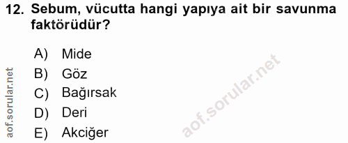 Soru 12