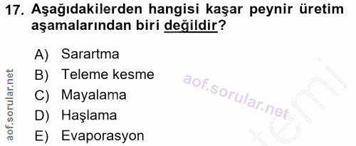 Soru 17