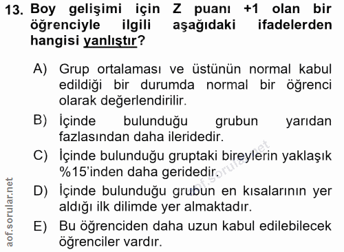 Soru 13