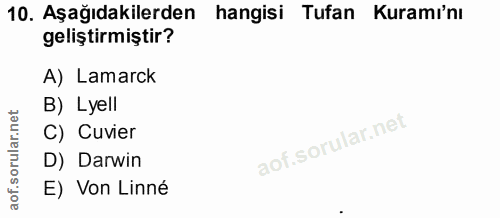 Soru 10