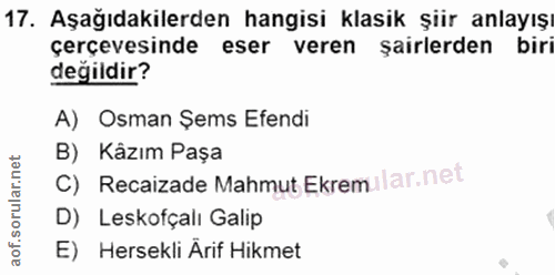 Soru 17