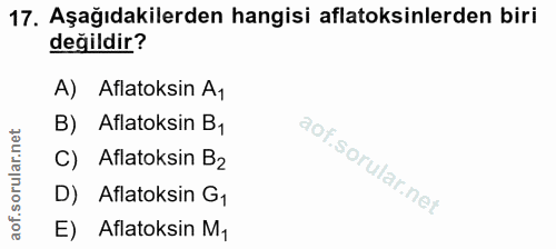 Soru 17