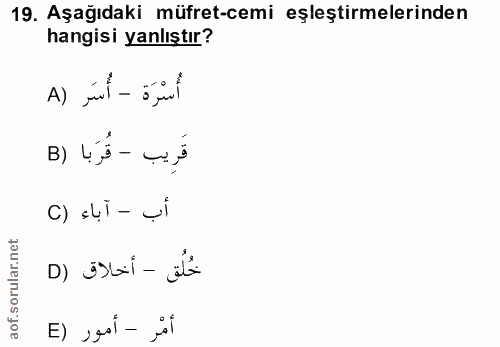 Soru 19