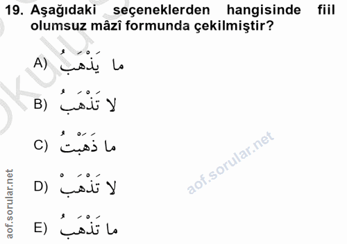 Soru 19
