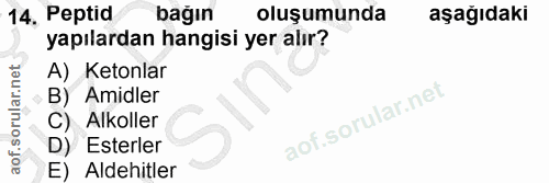 Soru 14