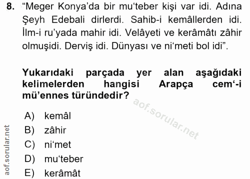 Soru 8
