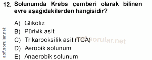 Soru 12
