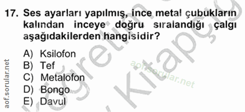 Soru 17
