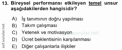 Soru 13