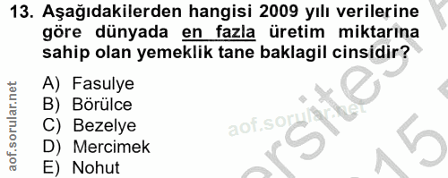 Soru 13