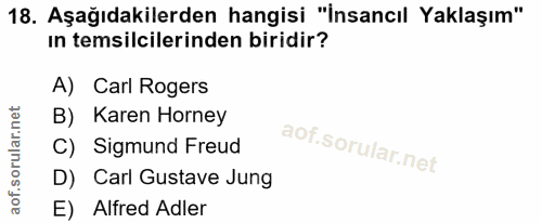 Soru 18