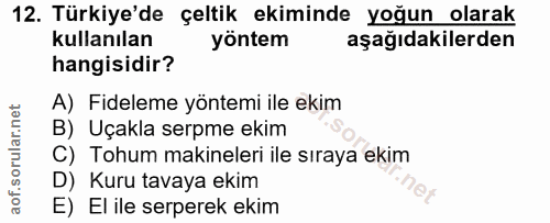 Soru 12