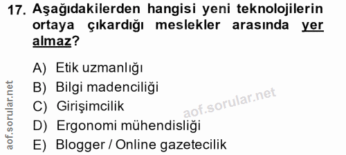 Soru 17