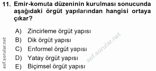 Soru 11