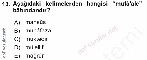 Soru 13