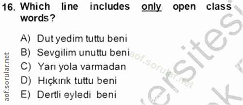 Soru 16