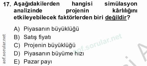 Soru 17