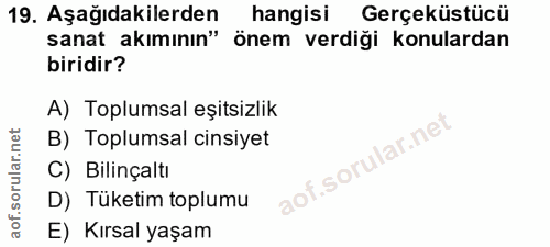 Soru 19