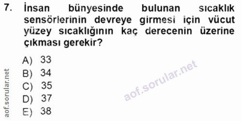 Soru 7