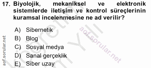 Soru 17