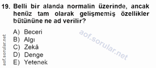 Soru 19