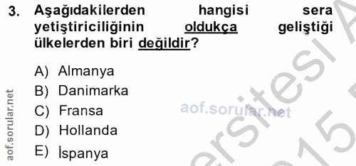 Soru 3