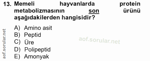 Soru 13