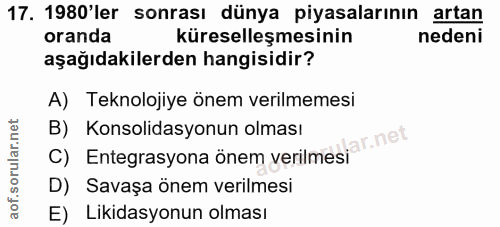 Soru 17