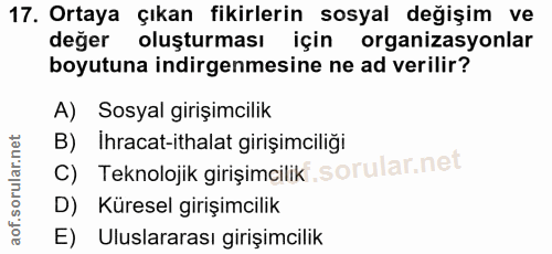 Soru 17