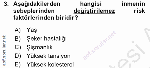 Soru 3