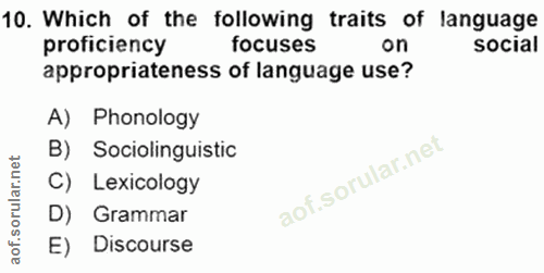 Soru 10