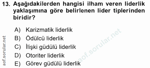 Soru 13