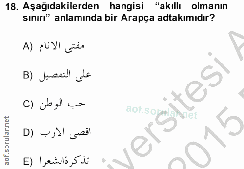 Soru 18