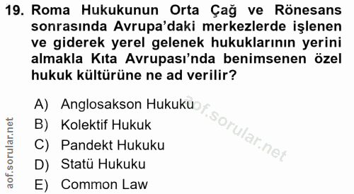 Soru 19